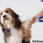 PetSmart Grooming