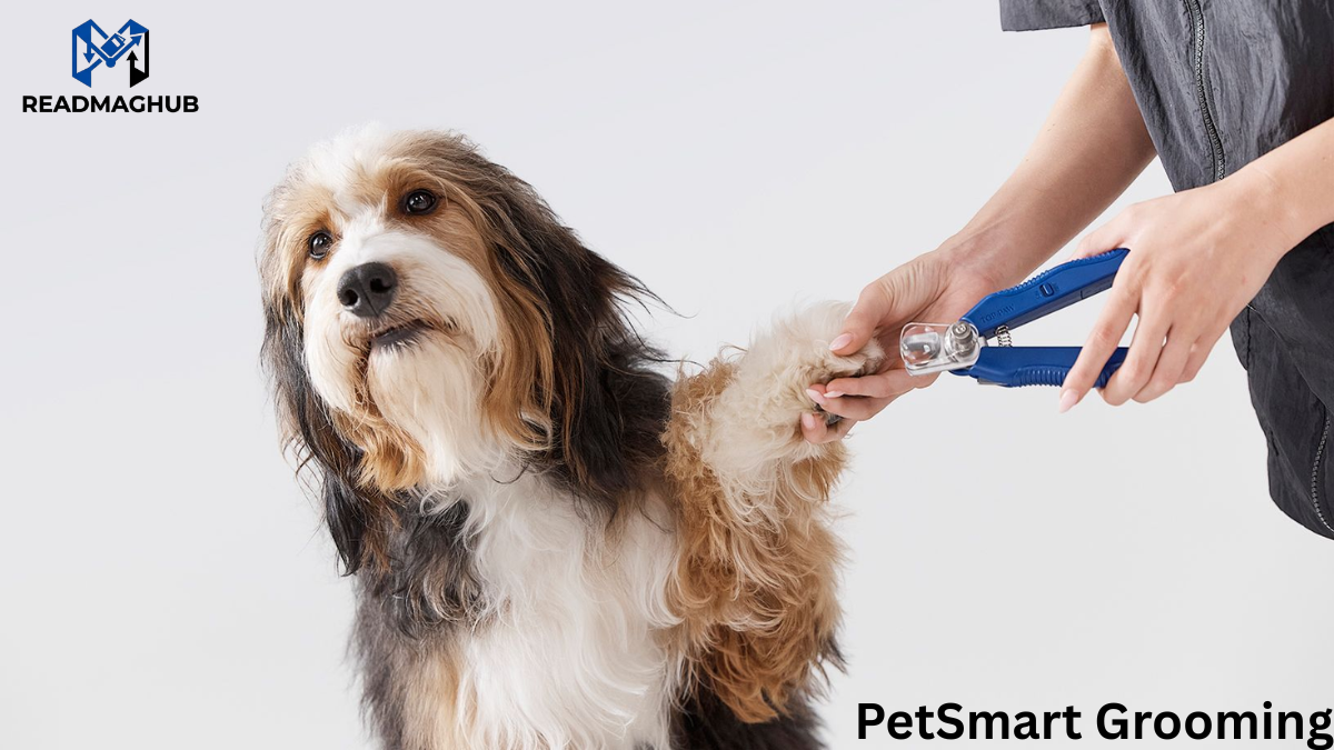 PetSmart Grooming